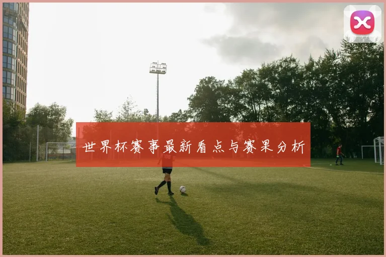 世界杯赛事最新看点与赛果分析