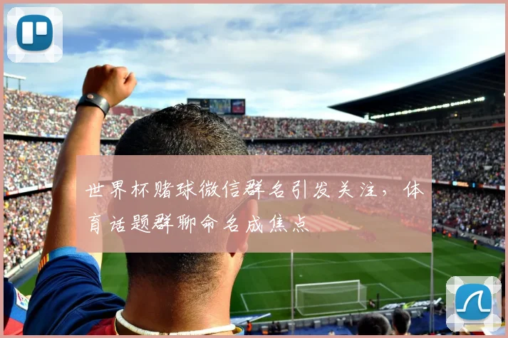 世界杯赌球微信群名引发关注,体育话题群聊命名成焦点
