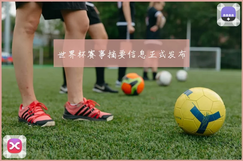 世界杯赛事摘要信息正式发布