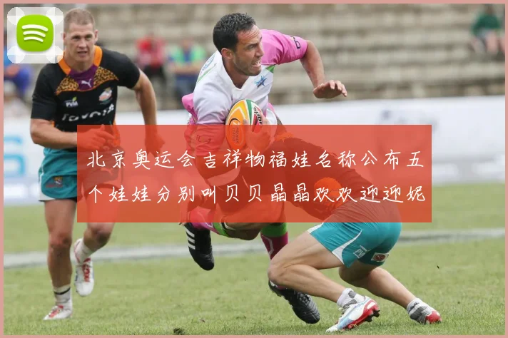 北京奥运会吉祥物福娃名称公布五个娃娃分别叫贝贝晶晶欢欢迎迎妮妮