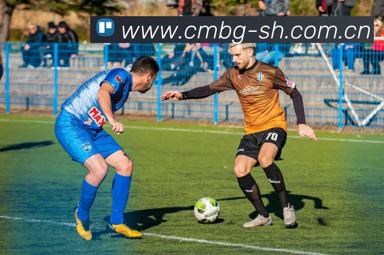 德甲 勒沃库森：能否在本赛季创造奇迹？